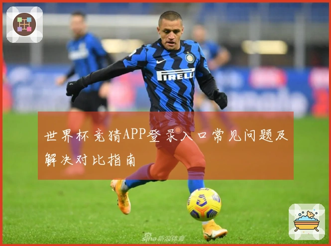 世界杯竞猜APP登录入口常见问题及解决对比指南