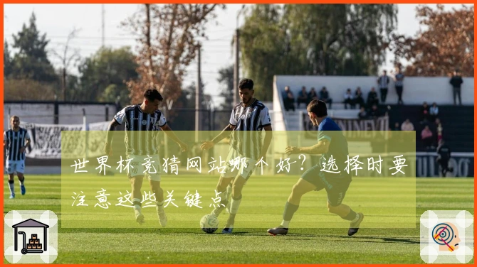 世界杯竞猜网站哪个好?选择时要注意这些关键点