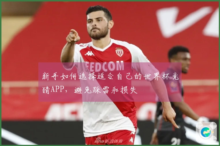 新手如何选择适合自己的世界杯竞猜APP，避免踩雷和损失